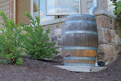 Photograph of a rain barrel against a brick house.