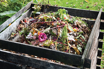 Photo of a Compost bin in the garden