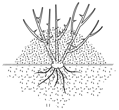 Fig. 1: Illustration of the benefits of proper tree pruning. 