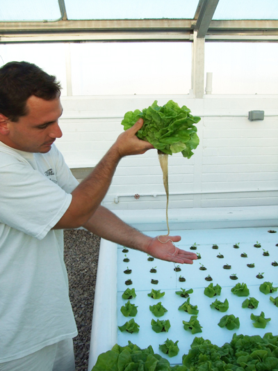 Fig. 1: Photograph of a raft-based aquaponic system. 