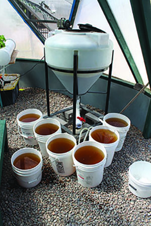 Figure 5a: Photograph of an aerobic mineralization tank and several buckets of nutrient solution.