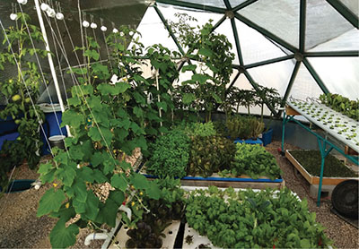 Fig. 01: Photograph of a greenhouse interior showing several hydroponic systems.