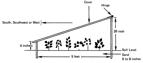 Fig. 1: Illustration of a cold frame, including dimensions. 
