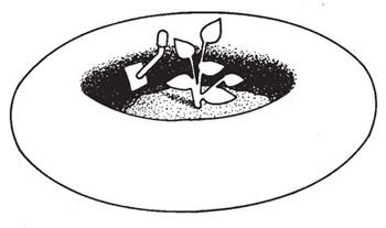 Fig. 6: Illustration of an inner tube used for planting. 
