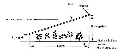 Figura 1: Ilustración de construcción de las camas o cajoneras frías.