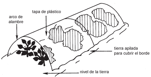 Figura 4: Ilustración de la construcción de un tunnel cloche.