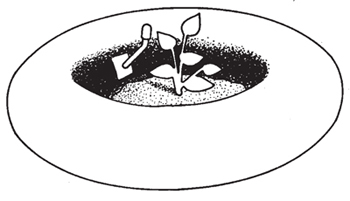 Figura 6: Ilustración de un neumático.