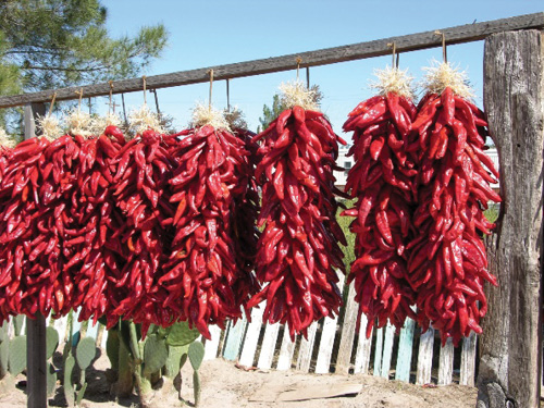 Dried red chili pepper ristras hanging on a wooden rack.