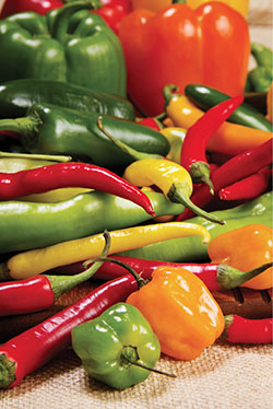 Photograph of various chile peppers.