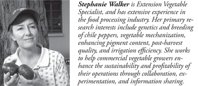 Fig2: Stephanine Walker, Extension Vegetable Specialist, Department of Extension Plant Sciences, New Mexico State University.