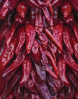 Photograph of dried red chile pods.