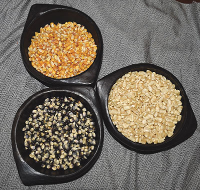 Fig. 01: Photograph of bowls of blue, yellow, and white corn kernels.