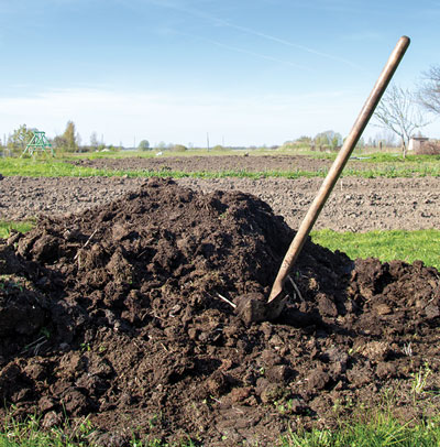 Photograph of a shovel stuck in a mound of manure in soil.