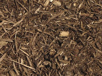 Photograph of wood chips/bark