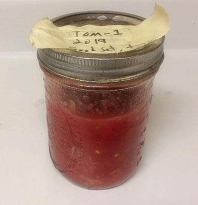 Fig. 07: Photograph of a small Mason jar filled with tomato pulp.