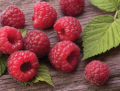 Photograph of red raspberries and leaves from a raspberry plant.