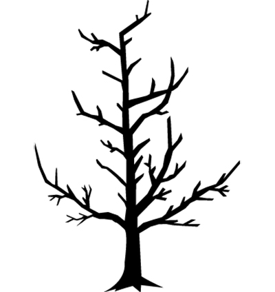 Fig. 5: Illustration of a mature central leader system tree.