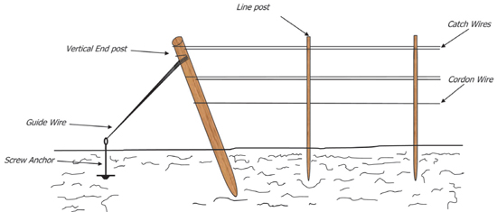 Fig. 1: Illustration of an anchored end post assembly.