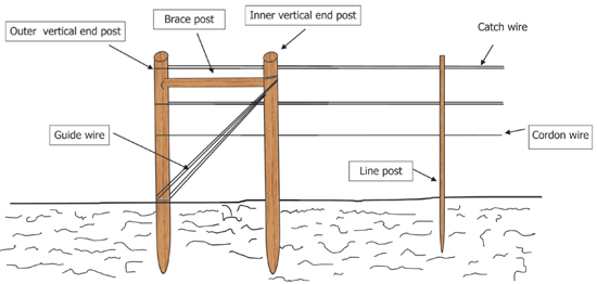 Fig. 2: Illustration of an H-brace end post assembly.