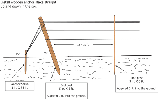 Fig. 6: Illustration of proper installation of anchor stake and vertical end post.