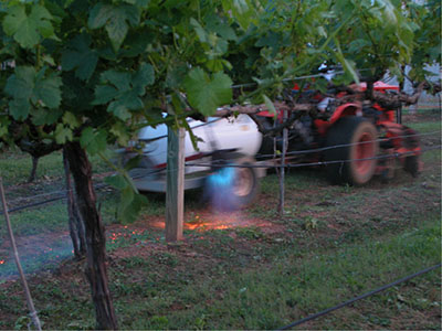Fig. 04: Photograph of a propane flame weeder being used to control weeds in the vine row.