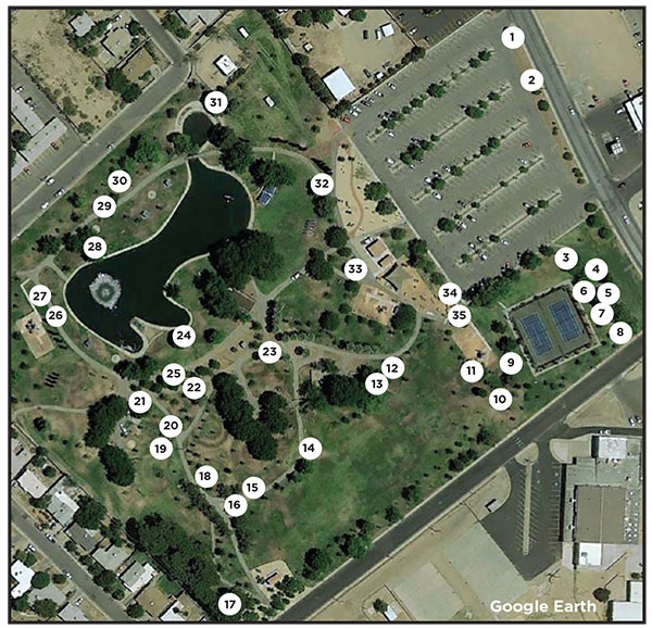 Figure 01: Aerial photograph showing tree locations within Young Park.