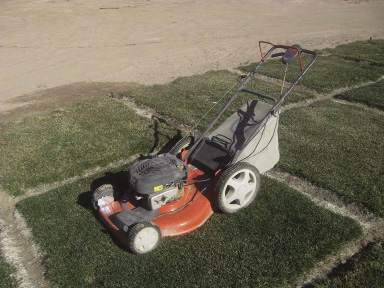 Push behind mower