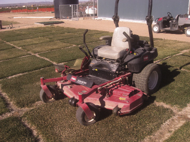 Riding rotary mower