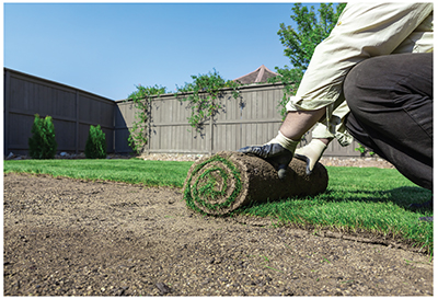 Photograph of a person laying out grass sod.