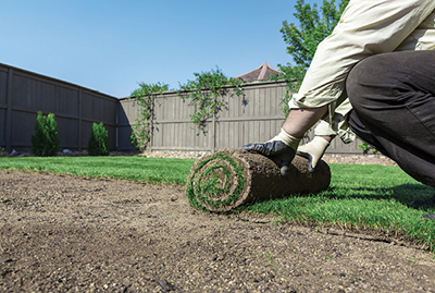 Photograph of someone laying sod rolls.