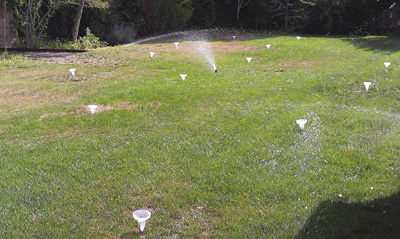 Figure 4. Catch cans placed in a grid pattern on a home lawn.