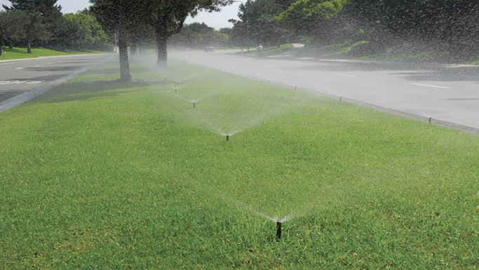 Lawn sprinklers watering a grassy roadside median, spraying mist across the grass near a street lined with trees.
