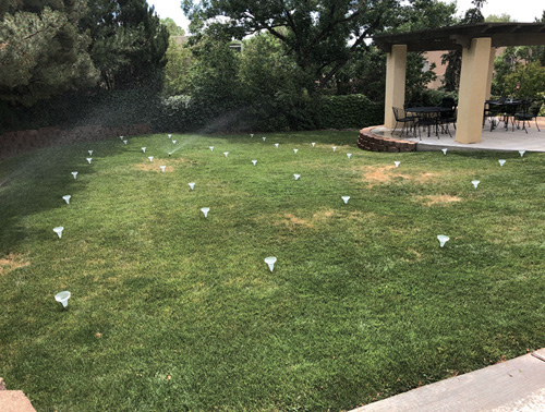 Grassy lawn with many small white sprinklers placed in a grid pattern, next to a covered patio with tables and chairs.