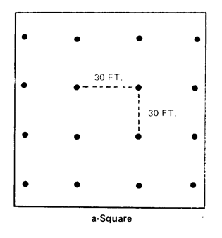 Example of a-Square orchard design.