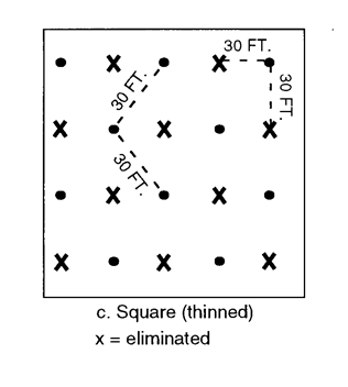 Example of c. Square (thined) and X=elimated orchard designs.