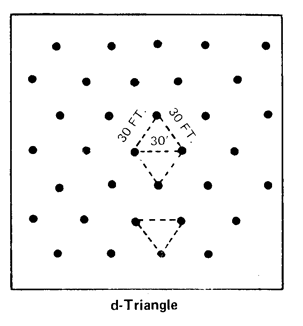 Example of d-Triangle orchard design.
