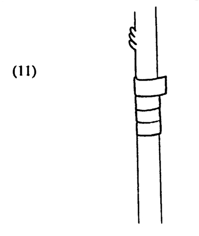 Fig. 11: Illustration of wrapping the stock/scion joint with grafting tape. 