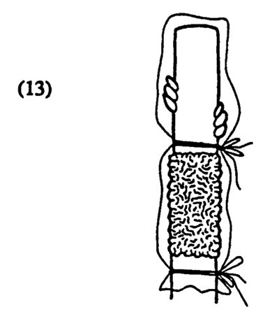Fig. 13: Illustration of covering the stock/scion joint with a plastic bag. 