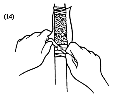Fig. 14: Illustration of removing the moving the plastic bag after scion buds emerge. 