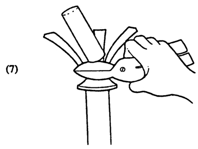 Fig. 7: Illustration of cutting the exposed wood after pulling back the stock bark. 
