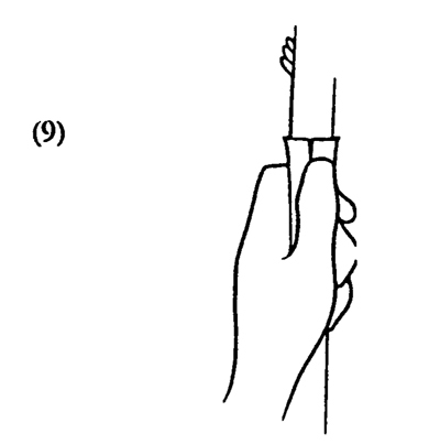 Fig. 9: Illustration of pulling the four flaps of stock bark over the cut scion. 