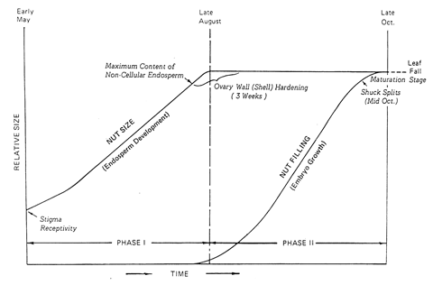 Figure 1. Relative nut growth rates and average nut development stages for ‘Ideal’ (‘Bradley’) and Western Schley’ pecans in the Mesilla Valley, New Mexico.