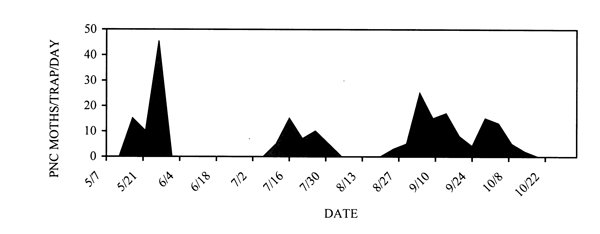 Figure 2. Mean number of pecan nut casebearer moths for combined locations during 1998 in the Mesilla Valley, New Mexico.