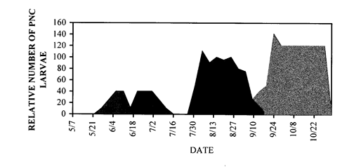 Figure 3. Relative number of pecan nut casebearer larvae (extrapolated from pheromone trap results) for Mesilla Valley, New Mexico, 1998.