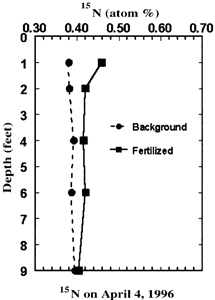 Fig. 2: Line graph showing 15N-fertilizer location in soil 10 days after fertilizer application and irrigation in March 1996.