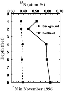 Fig. 3a: Line graph showing 15N fertilizer location in soil at the end of the 1996 season.