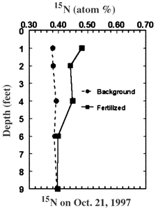 Fig. 3b: Line graph showing 15N fertilizer location in soil at the end of the 1997 season.