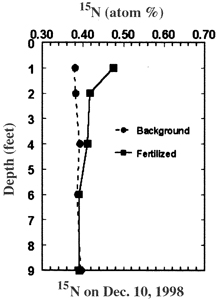 Fig. 3c: Line graph showing 15N fertilizer location in soil at the end of the 1998 season.