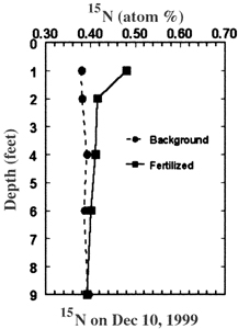 Fig. 3d: Line graph showing 15N fertilizer location in soil at the end of the 1999 season.
