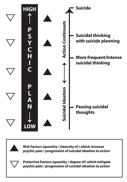  Suicide Prevention and Intervention in Schools